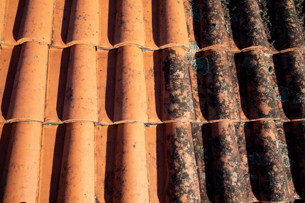 Contraste saisissant sur des tuiles de toit en terre cuite : côté gauche propre et orangé, côté droit couvert de moisissures et lichens sombres.